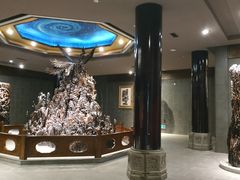 -乐山乌木文化博览苑