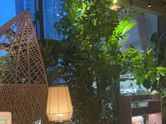 -大头椰·椰子鸡火锅(南宁万象城店)