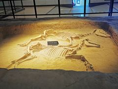 -洛阳周王城天子驾六博物馆