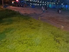 -青岛第三海水浴场