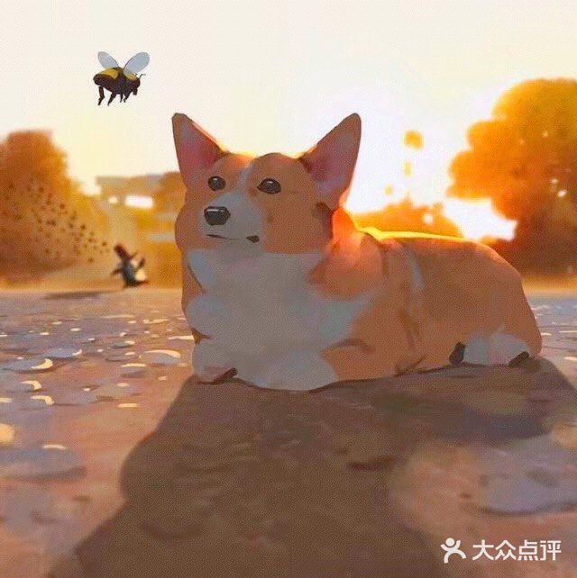 秋日里的狗狗