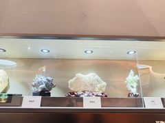 -陕西自然博物馆