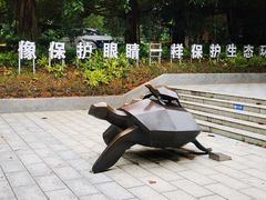 -广东惠东海龟国家级自然保护区