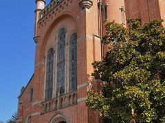 -上海佘山国家森林公园西佘山园