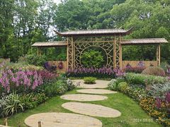 -上海共青森林公园