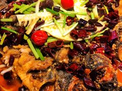 -老板恋上鱼(恒隆广场店)