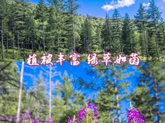 -百里天路