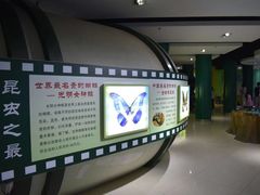 -上海昆虫博物馆