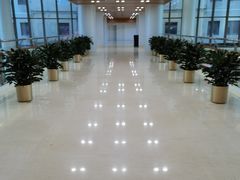 -首都医科大学附属北京同仁医院(南区)
