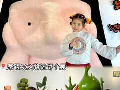 -辰熙ACX星海艺术中心