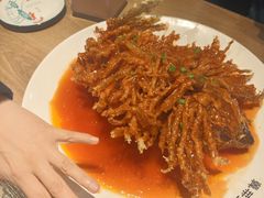 -直隶安家牛肉罩饼(建华店)