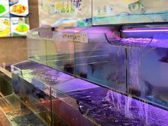 水产区-胖姐渔村(中源大道店)