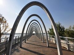 -大兴滨河森林公园