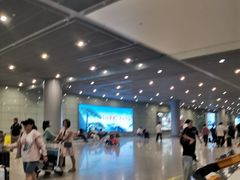 -合肥新桥国际机场-航站楼