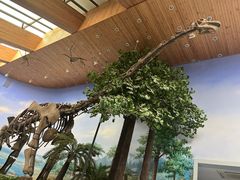 -延庆地质公园博物馆