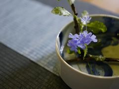 -苏州文旅花间堂·探花府酒店