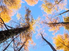 -张明富面皮店(东大街店)