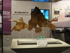 -北京周口店北京人遗址博物馆