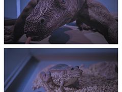 -上海自然博物馆