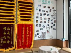 -瑞派中心宠物医院·CT·核磁·神经专科