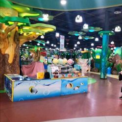 -维佳童话镇演出现场(徐东店)