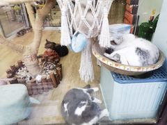 -牛喵喵铜锅牛肉馆