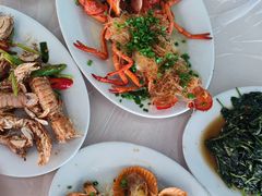 -巽寮湾海鲜批发码头