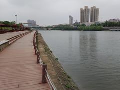 -沙澧河风景区