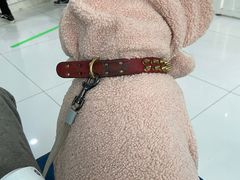 -北京恒爱动物医院(清景园分院)