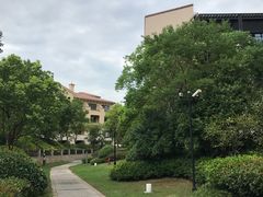 -上海崇明金茂凯悦酒店