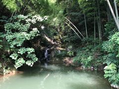 -藏龙百瀑风景区