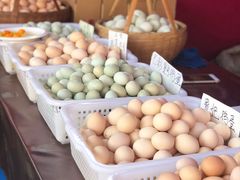 -长兴慧子土特产茶行