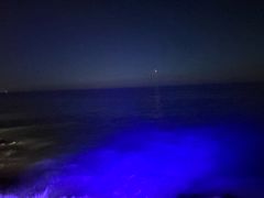 -Rock Bar Bali(Bali)