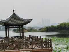 -南宁南湖公园