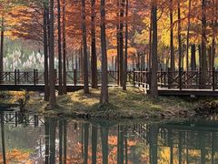 -尚贤河湿地