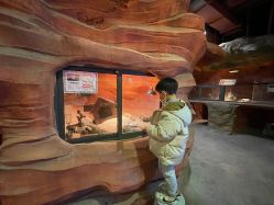 -酷嗒动物文化乐园(cutezoo西溪乐天城店)