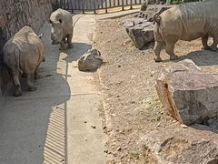 -无锡动物园·太湖欢乐园