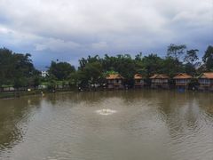 -杨二傣香园