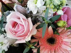 -双季花艺园艺市场(浦东店)