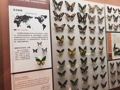 -天津自然博物馆