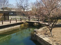 -三里河公园