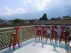 -喵屿·大理花园猫咖