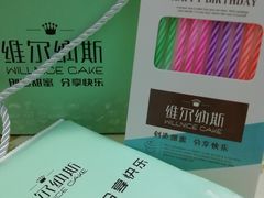 -维尔纳斯·生日蛋糕·动物奶油冰淇淋蛋糕(六里桥店)