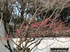 -杭州植物园