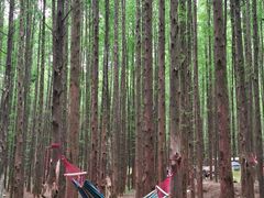 -山王坪喀斯特国家生态公园