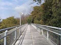 -佛山华盖山公园