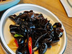 爽口小木耳-川流不息(北蔡休闲广场店)