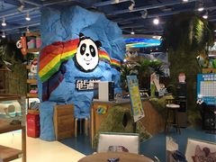 -龟与熊猫宠物公园(南坪店)