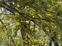 -宁波儿童公园(鄞州区)