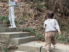 -杭州半山国家森林公园